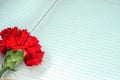 a red carnation on a notebook Royalty Free Stock Photo