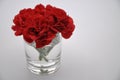 Red carnation. Red flowers with white background. Dianthus caryophyllus.