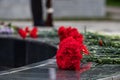 red carnations on a black marble monument in memory of the dead Royalty Free Stock Photo