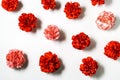 Red carnations flowers on white background. Flat lay. Royalty Free Stock Photo