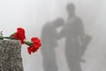 Red carnations lie on a granite cobblestone on the background of the monument to Komsomol members in Volgograd.