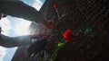 Red carnations between lines with names of dead soldiers.