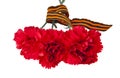 Red carnations with ribbon isolated on white background Royalty Free Stock Photo