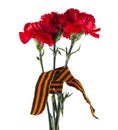 Red carnations and ribbon isolated on white background Royalty Free Stock Photo