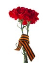 Red carnations with ribbon isolated on white background Royalty Free Stock Photo