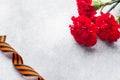 Red carnations and St. George ribbon on a concrete background. Symbol may 9, victory day Copy space