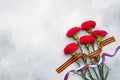 Red carnations and St. George ribbon on a concrete background. Symbol may 9, victory day Copy space Royalty Free Stock Photo