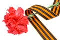 Red carnations with St. George`s ribbon isolated on white background. May 9 day of victory in the great Patriotic war of 1941-194 Royalty Free Stock Photo