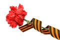 Red carnations with St. George`s ribbon isolated on white background. May 9 day of victory in the great Patriotic war of 1941-194