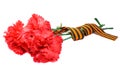 Red carnations with St. George`s ribbon isolated on white background. May 9 day of victory in the great Patriotic war of 1941-194 Royalty Free Stock Photo