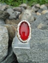 Red Carnelian Chalcedony Crystal Jewellery