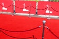 Red carpet on closing ceremony of Odessa International Film Festival
