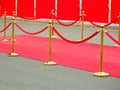 Red carpet entrance with golden stanchions and ropes. Celebrity nominees to premiere. Stars on the festive awarding of prizes