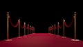 Red carpet entrance. Private event. Film festival. Celebrities