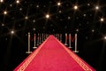 Red carpet and flash Royalty Free Stock Photo