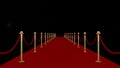 Red carpet gala or academy awards ceremony