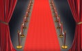 Red carpet and gold barriers with red rope Royalty Free Stock Photo