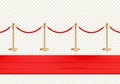 Red carpet and golden barriers front view. Realistic isolated fence on transparent background. Vector illustration. Royalty Free Stock Photo