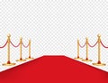 Red carpet and golden barriers realistic isolated on background. Vector illustration Royalty Free Stock Photo