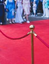 Red carpet with ropes and golden barriers on a luxury party entrance, cinema premiere film festival event award gala ceremony, Royalty Free Stock Photo