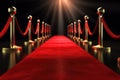 red carpet with runner leading to movie premiere or awards show