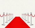 Red carpet and silvery barriers realistic isolated on transparent background. Vector