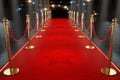 Red carpet for the stars, with gold stands and paparazzi flashes. Pop star concept, reception, ceremony, show, VIP. Copy space, 3D