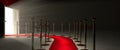 Red Carpet for the success Royalty Free Stock Photo