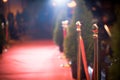 Red carpet - is traditionally used to mark the route taken by heads of state on ceremonial and formal occasions