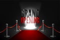 Red carpet between two barriers. Red ribbon cut ceremony. Grand opening event in spotlight.