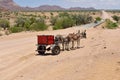 Red carriage and donkey on the road. Namibia, Africa Royalty Free Stock Photo