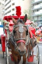 Red Carriage Horse in New York City