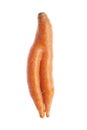 Red carrot clone Royalty Free Stock Photo