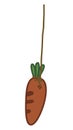 Red carrot illustration Royalty Free Stock Photo