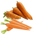 Red carrots isolated Royalty Free Stock Photo