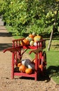 wooden cart with pumpkins Royalty Free Stock Photo