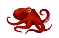 Red cartoon isolated octopus Royalty Free Stock Photo