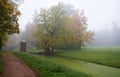 Red cascade and foggy autumn morning Royalty Free Stock Photo