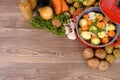 Red casserole dish with winter vegetables and herbs Royalty Free Stock Photo