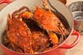 Red cast iron pot of colossal steamed and seasoned Chesapeake blue claw crabs Royalty Free Stock Photo