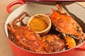 Red pot full of colossal chesapeake blue claw crabs Royalty Free Stock Photo