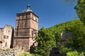 Red Castle in Heidelberg Royalty Free Stock Photo