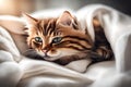 Red cat is adorable as it snuggles on a white blanket Generated Ai