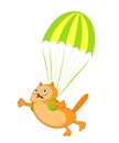 Red cat is afraid, but flies on a parachute. Vector cartoon image.