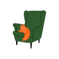 Red cat on comfy chair. Cat sleeping cozy armchair, happy playful pet, domestic animal drawing. Vector modern abstract