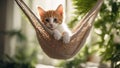 red cat in the garden A small red kitten with a gentle purr, nestled comfortably in a hammock made of soft white fur,