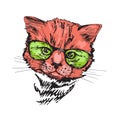 Red cat in green glasses. Lovely pet. Sketch drawing.