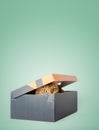 A red cat is hiding in a box Royalty Free Stock Photo