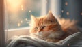 A red cat lies on a gray blanket. The rays of the sun fall on the cat. Cat basking in the sun, generative ai Royalty Free Stock Photo