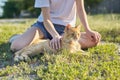 Red cat lying on grass with girl, sunny summer day, nature